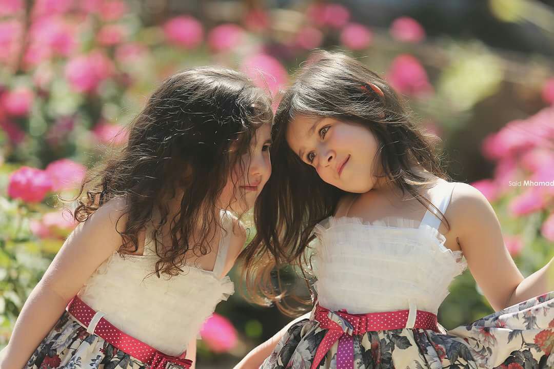  ,,🌹 bntpal_1442241092_97