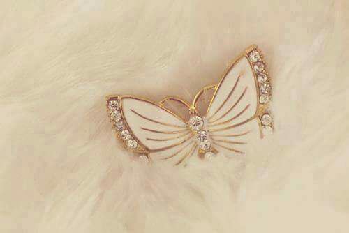  ,,🌹 bntpal_1442241097_19