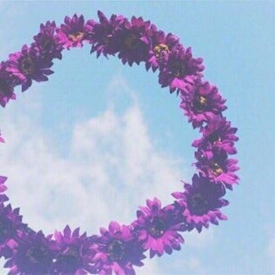  ,,🌹 bntpal_1442241102_35