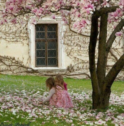  ,,🌹 bntpal_1442241103_50