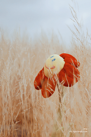 bntpal_1442416402_97