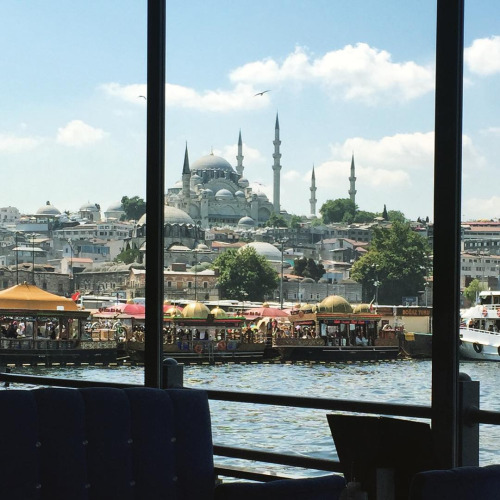  bntpal_1442435950_14