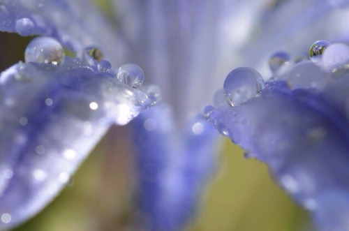  bntpal_1442435952_74