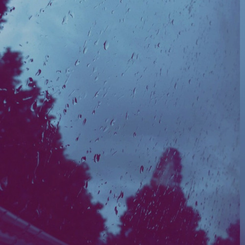  bntpal_1442435952_99