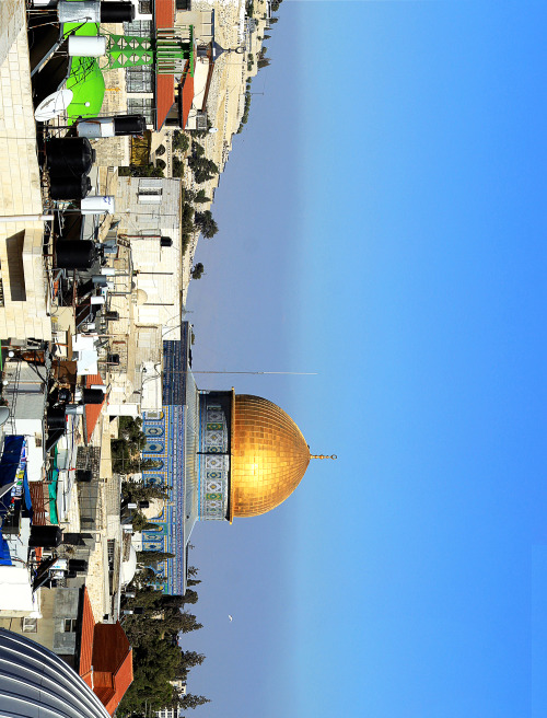  bntpal_1442512014_77