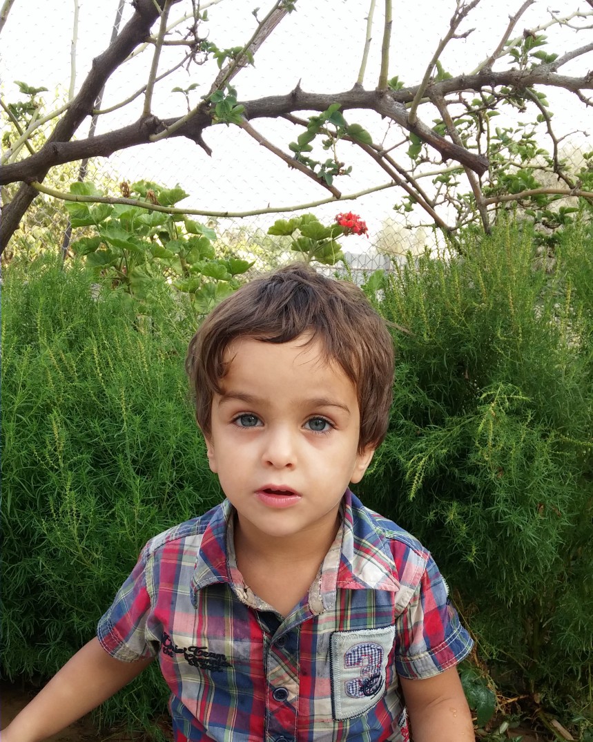   bntpal_1442695366_84