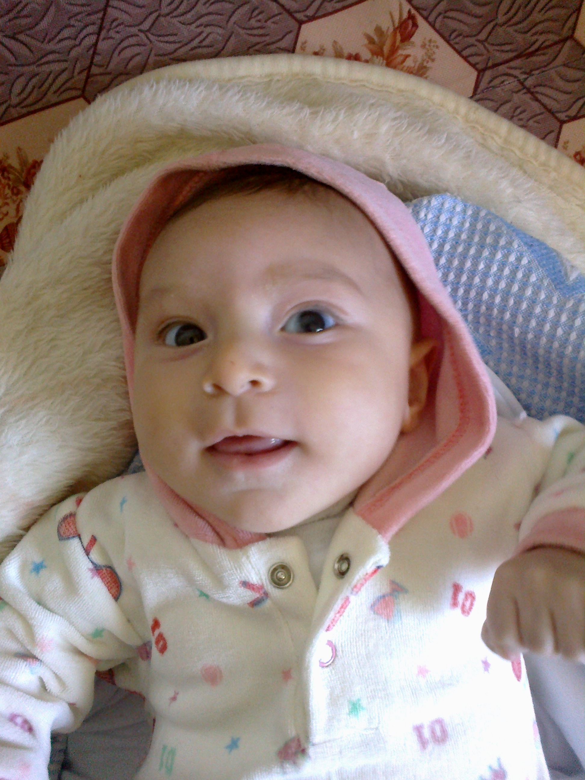   bntpal_1442695369_42