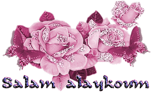     bntpal_1442767967_42
