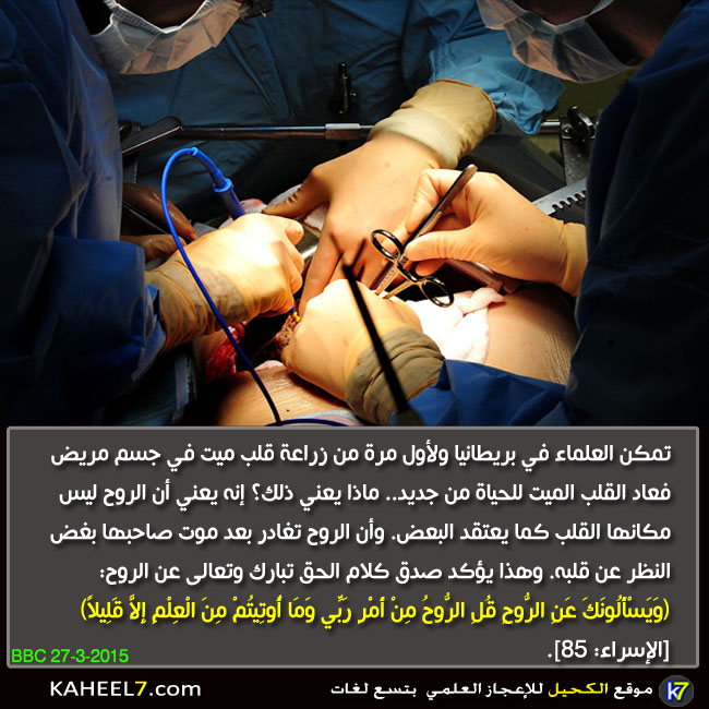 bntpal_1442846390_34