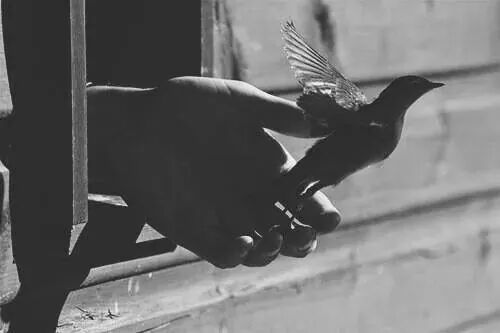  ٱ ٱ bntpal_1442862974_40