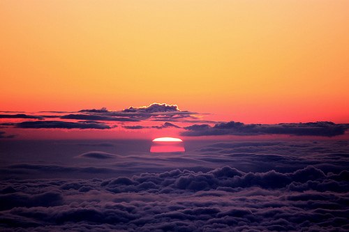   bntpal_1442936578_88