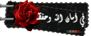   bntpal_1443222705_28