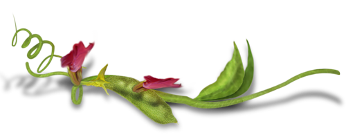 bntpal_1443433309_47