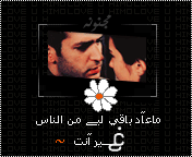 bntpal_1443530008_45