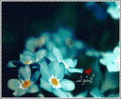 bntpal_1443530012_69