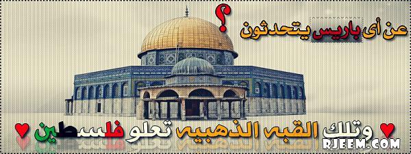  bntpal_1443588060_35