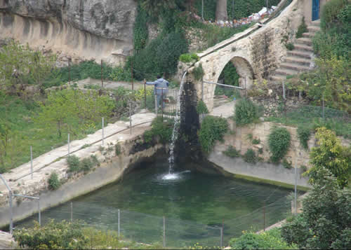  bntpal_1443617245_89