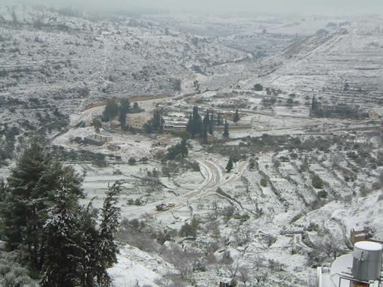  bntpal_1443617246_58