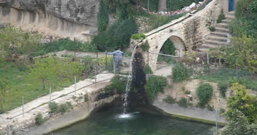  bntpal_1443617248_68