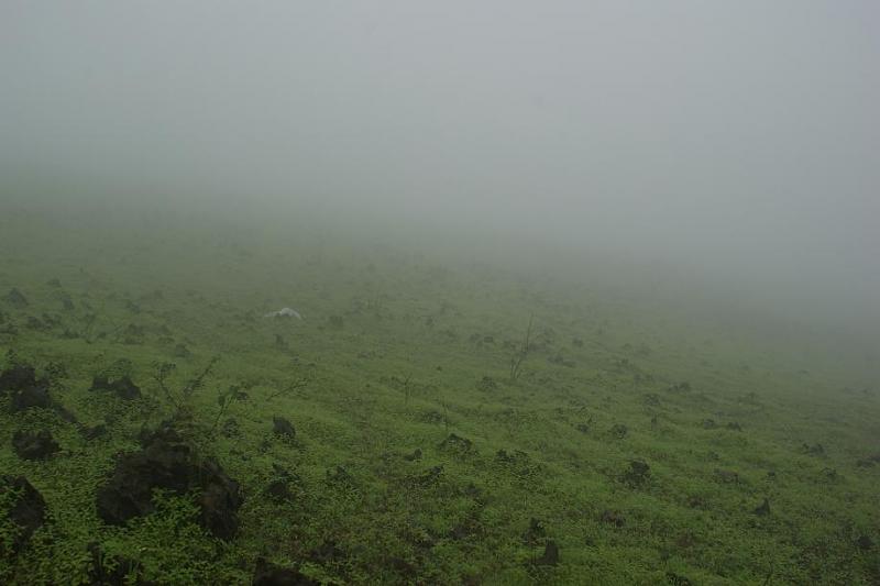 bntpal_1443619469_49