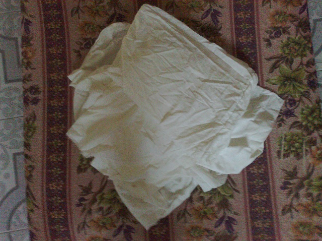 .. bntpal_1443620132_15