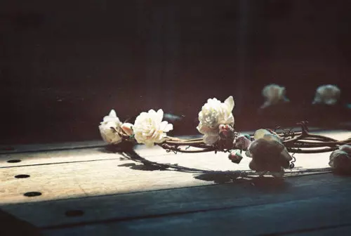     ♪ bntpal_1443863032_90