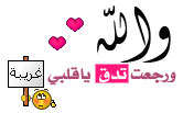   2015 bntpal_1443869852_75