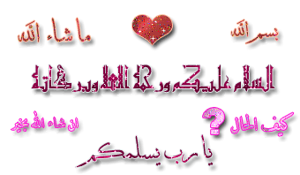 bntpal_1444055229_82