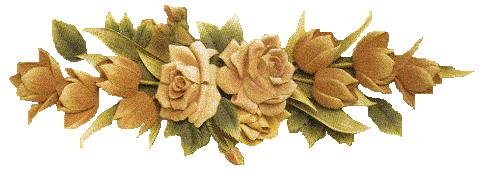 bntpal_1444297631_66