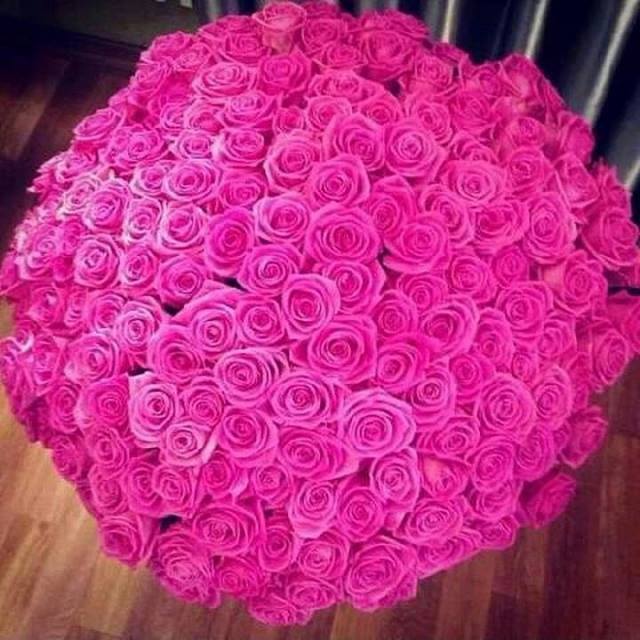 bntpal_1444314745_72
