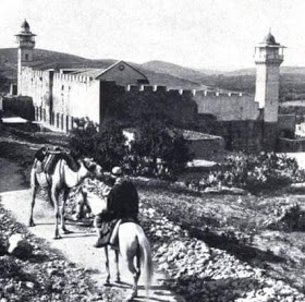 ﻻ  bntpal_1444394941_73