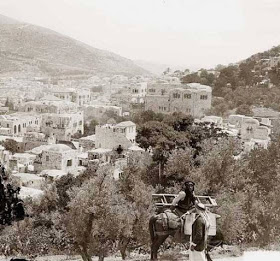 ﻻ  bntpal_1444394941_78