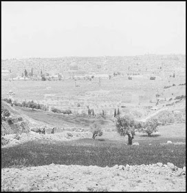 ﻻ  bntpal_1444394942_61