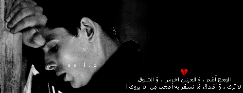 - 2015 bntpal_1444472821_87