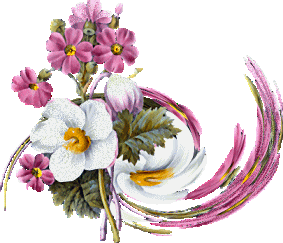 bntpal_1444494211_98