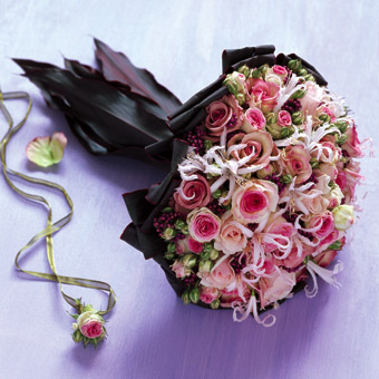    ♥  bntpal_1444571030_63