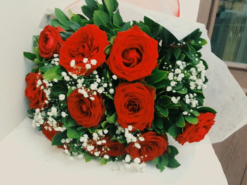 bntpal_1444574501_34