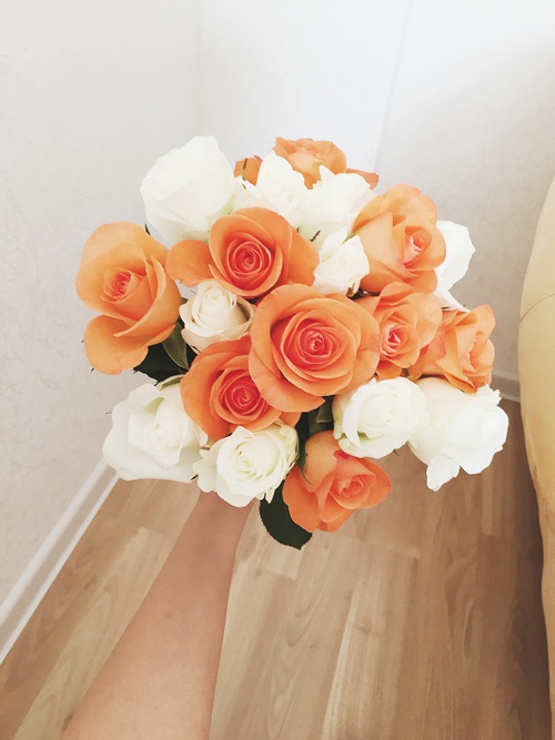 bntpal_1444574502_12