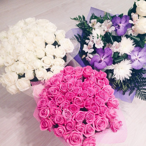 bntpal_1444574502_12