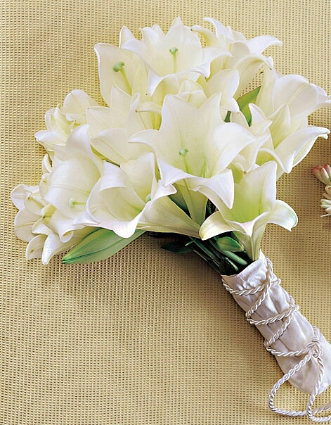 bntpal_1444574503_54