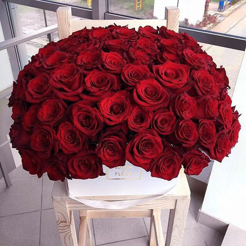 bntpal_1444574505_24
