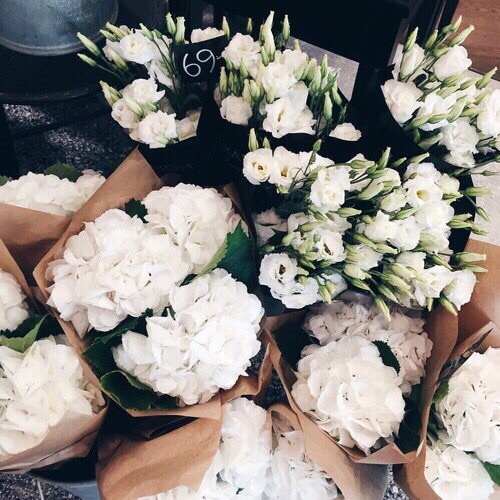 bntpal_1444574505_85