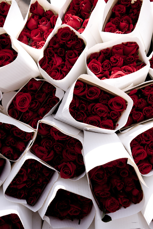 bntpal_1444574506_14