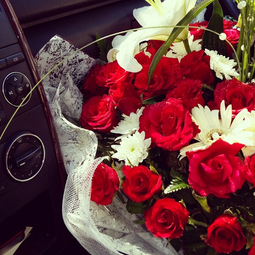 bntpal_1444574507_39