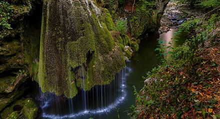  bntpal_1444737288_89