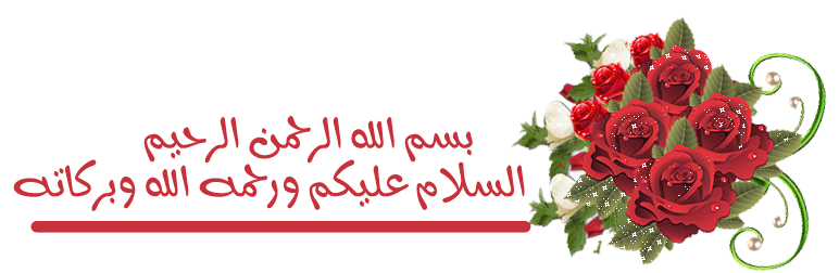  bntpal_1444844978_46