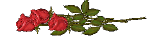  bntpal_1444913967_55