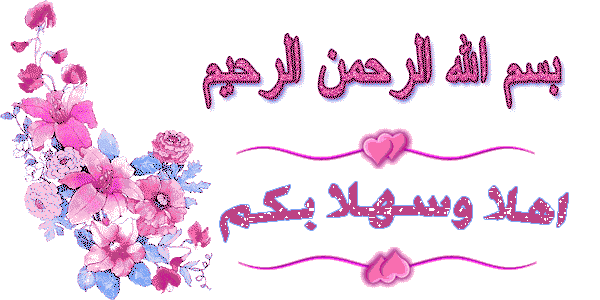   bntpal_1444913968_48