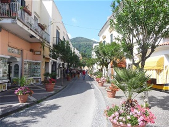 bntpal_1444914748_48