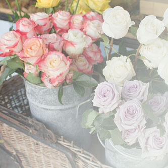 .~ ..♥~  bntpal_1444943385_13